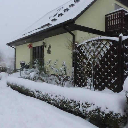 Fewo-Schmidt-Im-Erzgebirge Gelenau Екстер'єр фото
